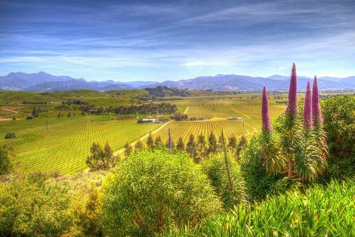 Full-Day Wine Gourmet and Scenic Delight Tour of Marlborough from Blenheim