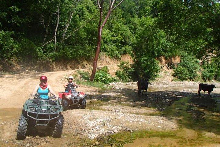 Private Tour: ATV SIERRA MADRE rivers with Tequila Tasting
