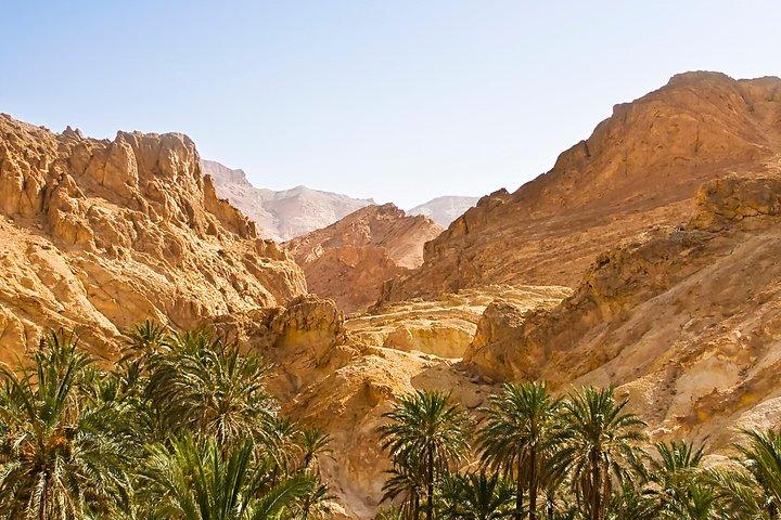 Indian Canyons Hiking Tour by Jeep from Palm Springs