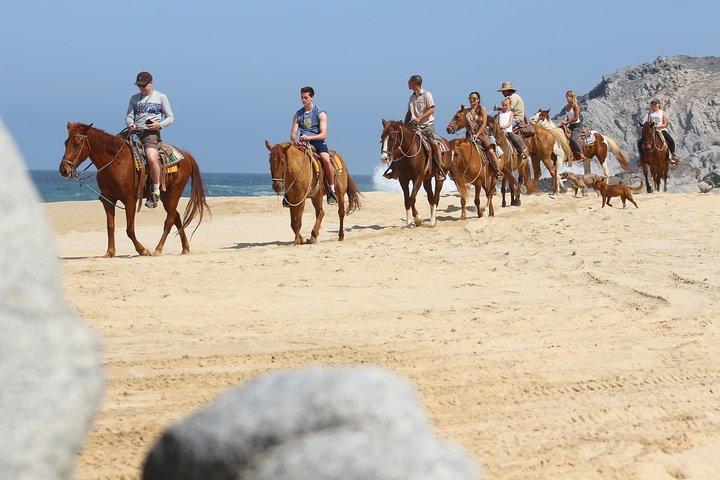 Horseback Riding Tour in Cabo San Lucas