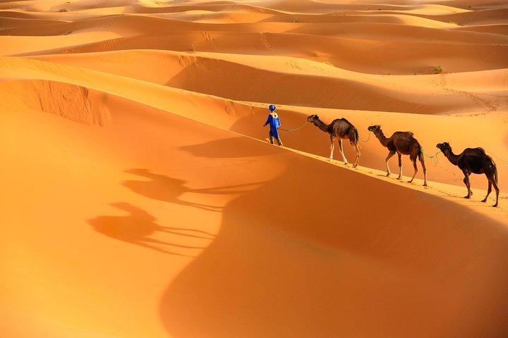 Marrakech to Zagora Desert tour