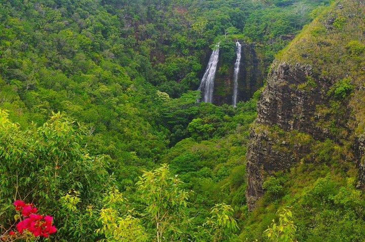 Day Trip from Oahu to Kauai: Waimea Canyon & Wailua River