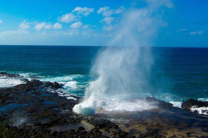 Kauai: Waimea Canyon, Wailua River Boat and Fern Grotto Tour