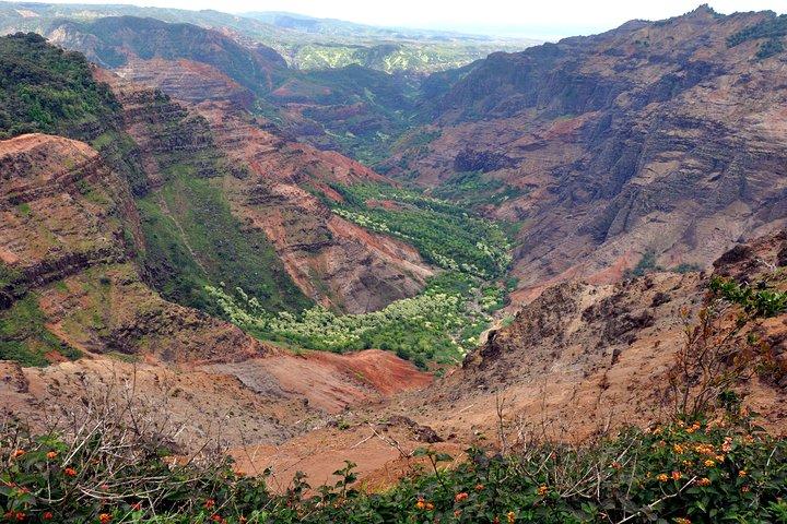 Kauai: Waimea Canyon and Koke'e Tour