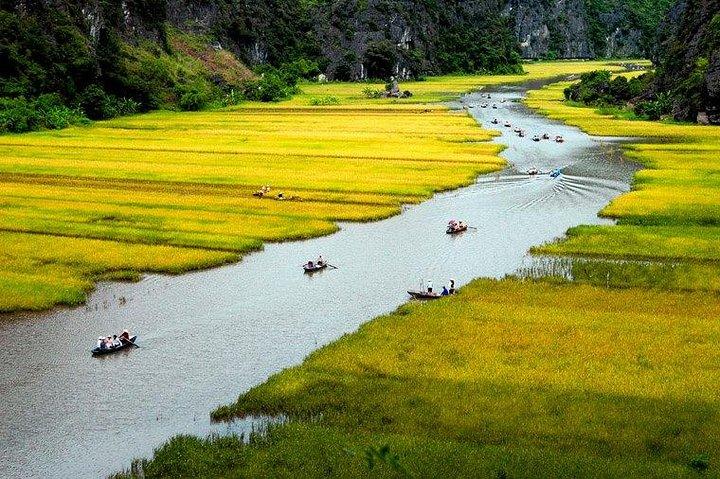Hoa Lư Tam Coc & Mua Cave full day Including Buffets Lunch