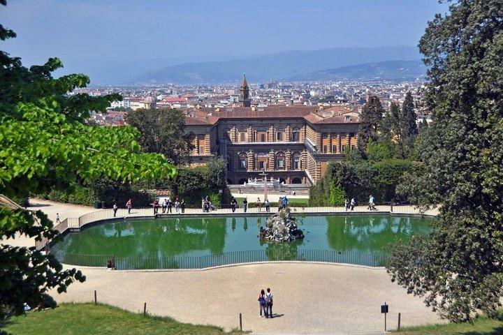 Palazzo Vecchio, Palazzo Pitti and Boboli gardens private tour