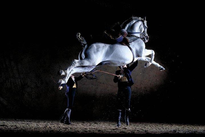 Jerez Historic Guided Tour with Horse Show