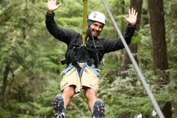 Rainforest Canopy Adventure from Vieux Fort or North Island, St Lucia