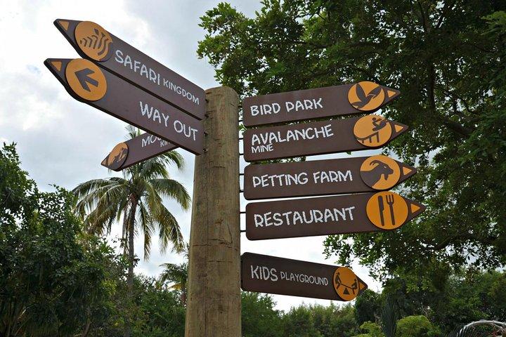 Full-Day Swimming with Dolphins and Casela Nature Park Tour in Mauritius