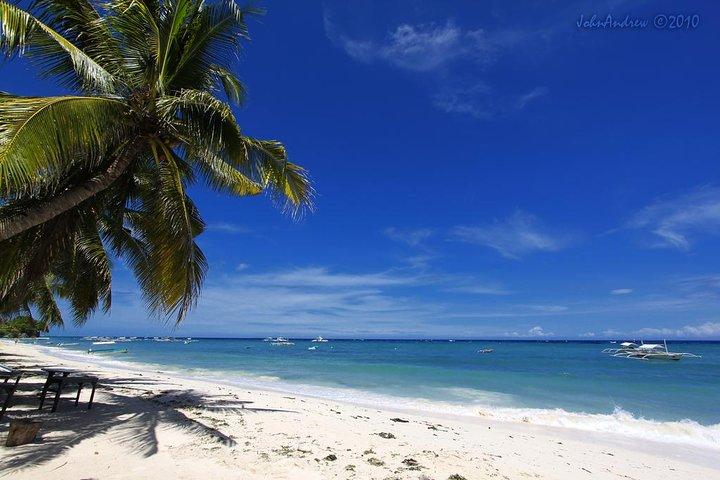 Private Bohol and Chocolate Hills with Loboc River Cruise
