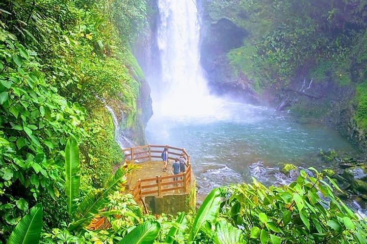 Day trip DOKA Coffee Plantations & La paz Waterfall Gardens
