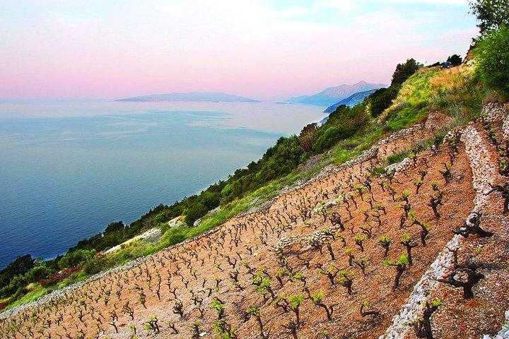 Classic Tour with Wine Tastings from Dubrovnik