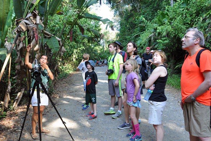 Manuel Antonio National Park Guided Tour
