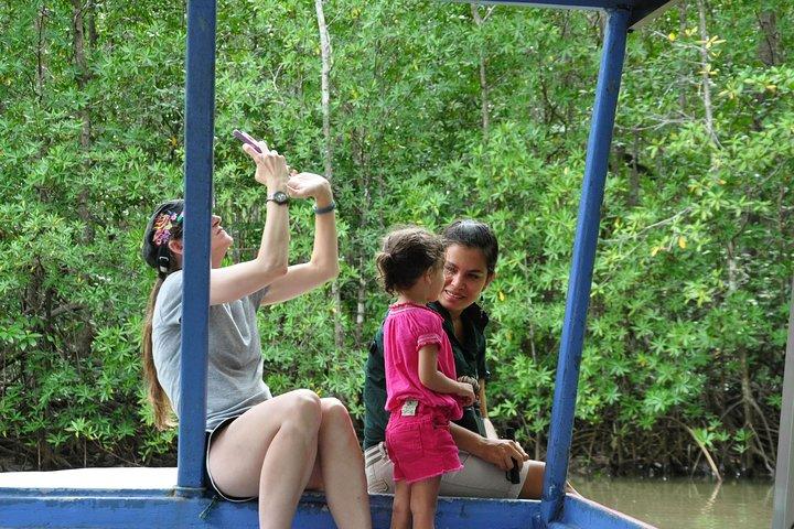 Damas Island Mangrove Boat Tour with Wildlife from Manuel Antonio