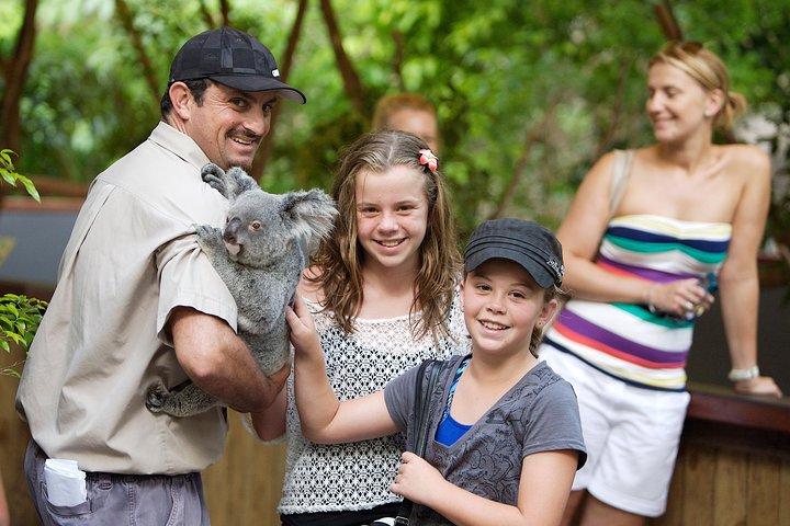 Hartley’s Crocodile Adventures Half-Day Tour from Cairns