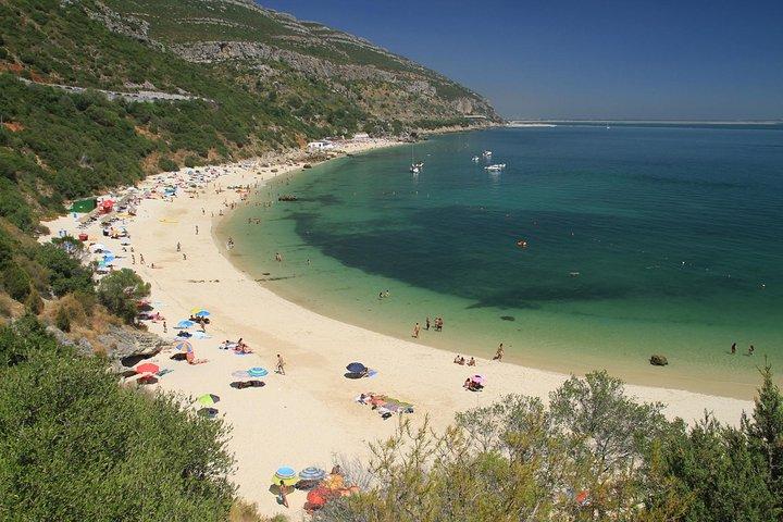 Full Day Private Tour - Arrábida Beaches and Azeitão Wine Region