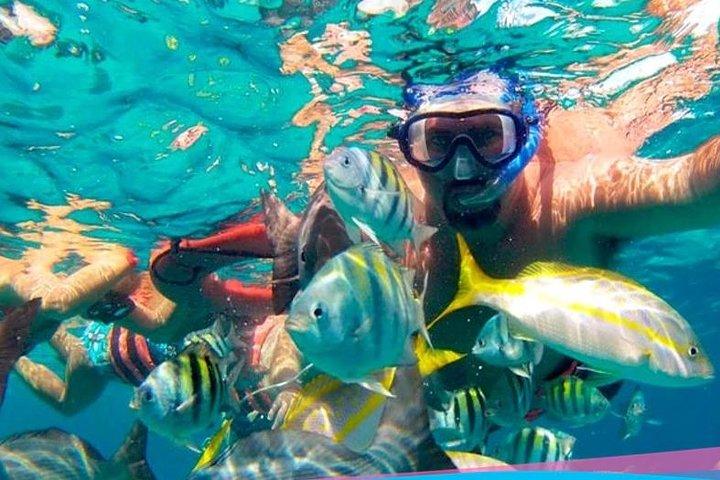Party On Sailing Cruise to Isla Mujeres from Cancun