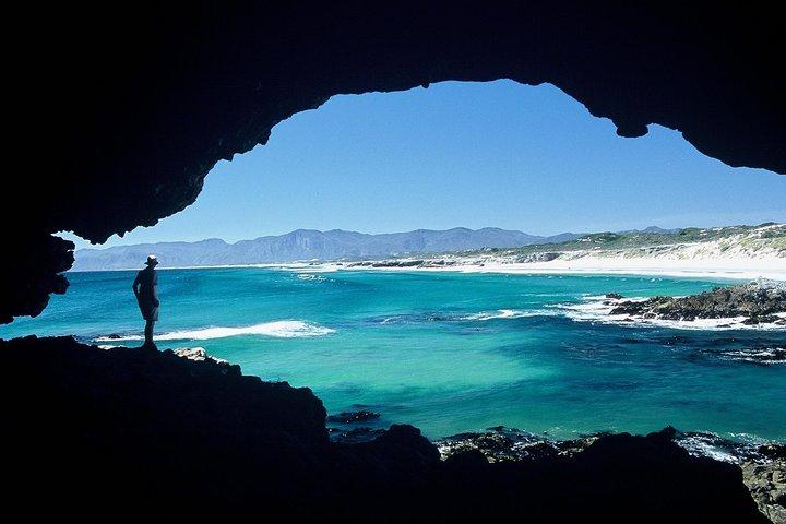Shark Diving Full Day Guided Return Transfer to Gansbaai from Cape Town