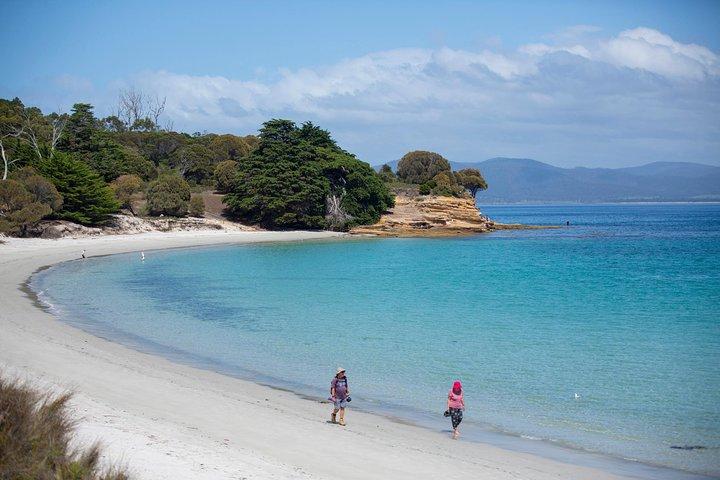 Hobart: Maria Island National Park, Nature & Wildlife active tour