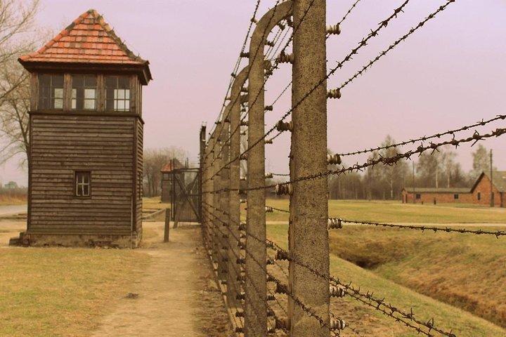 Auschwitz Small Group Tour from Warsaw with Lunch