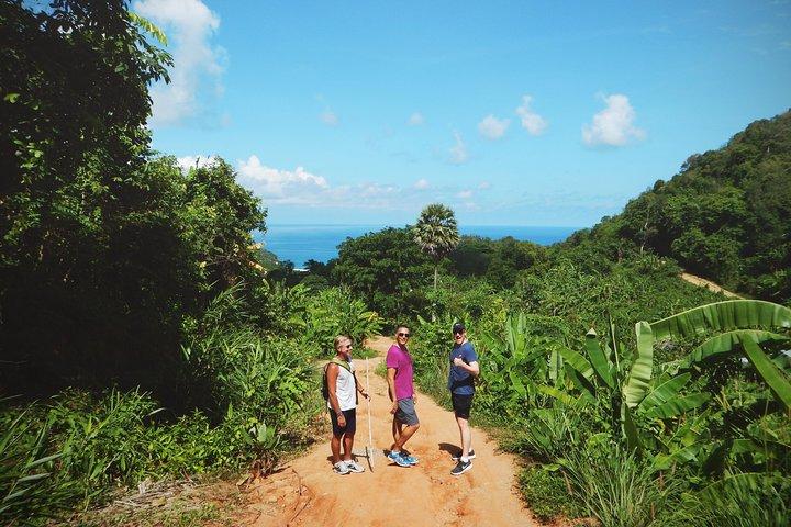 Big Buddha Jungle Trekking and Temple tour with Lunch