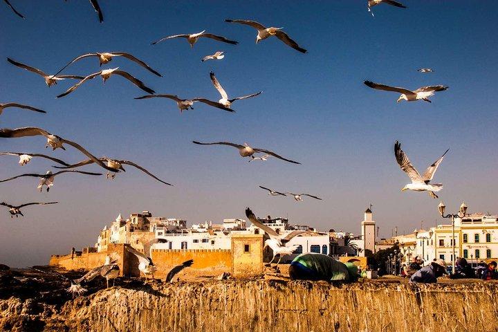 Private Full Day Tour to Essaouira Mogador from Marrakesh