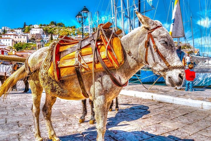 From Athens: Hydra, Poros, and Aegina Day Cruise with Lunch