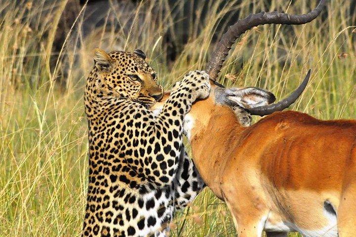 5-Day Lakes and Masai Mara Plains 4 x 4 Safari