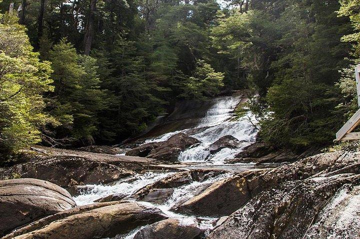 Boat navigation to Puerto Blest and Los Cantaros Falls from Bariloche