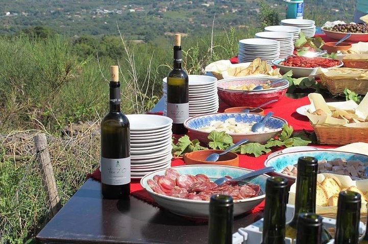 From Syracuse: Private Tour Mount Etna with Lunch at Etna Winery