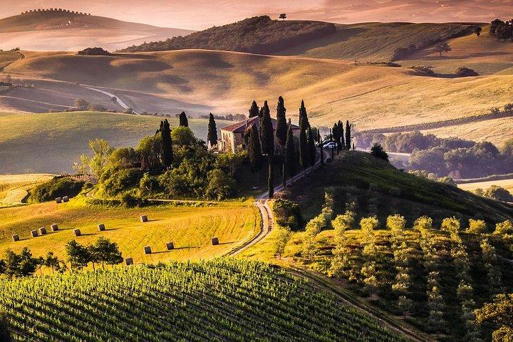 Private guided tour: Siena San Gimignano and Chianti