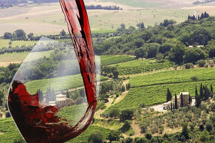 Private tour Brunello di Montalcino and Nobile di Montepulciano wine experience in Tuscany