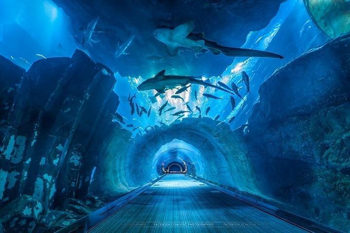 Private Tour: Full Day Dubai City Excursion Including Dubai Museum