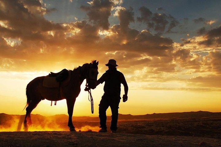 Horseback Riding in Dubai Desert with Transfers