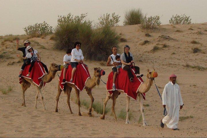 Morning Dubai Desert Dune Bashing and Camel Ride