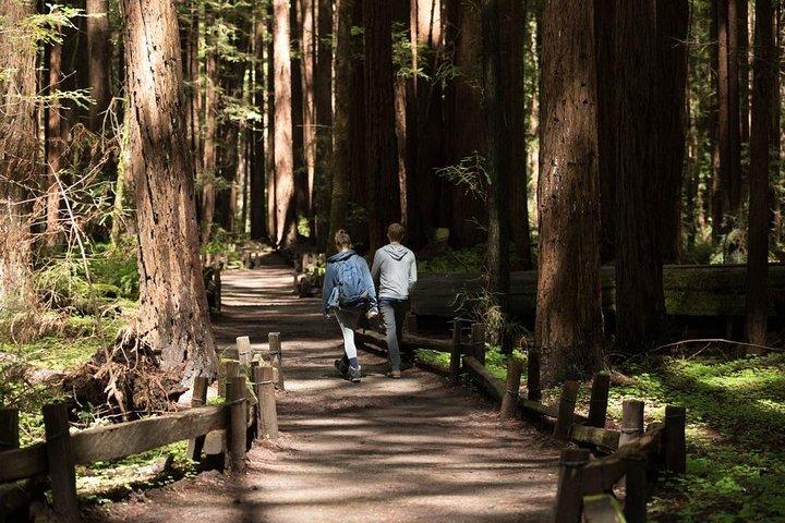 Small Group Redwoods, California Coast & Sausalito Day Trip from San Francisco