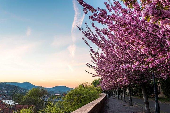 Budapest Private Walking Tour