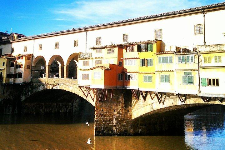 Private Florence and David or Uffizi from La Spezia