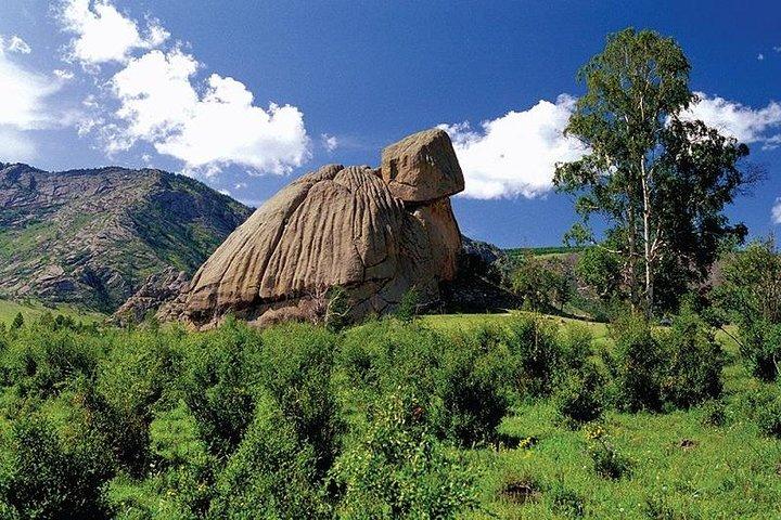 1 Day Coach Tour of Terelj National Park Including Lunch And Free Camel Ride