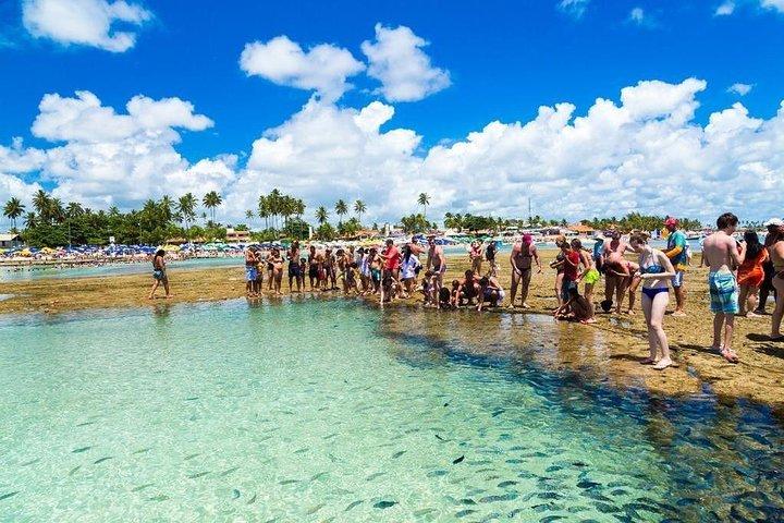 Excursion to Porto de Galinhas in Pernambuco