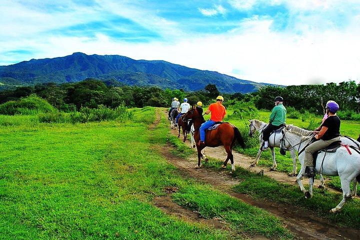 Buena Vista Combo Tour: Ziplining and Hot Springs from Guanacaste