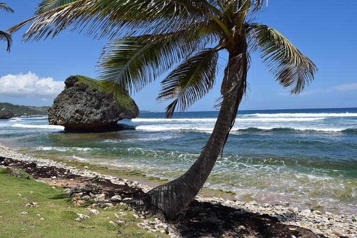 Barbados Shore Excursion Barbados Paradise Sightseeing Tour
