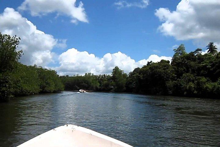 Day Excursion to Bentota from Colombo