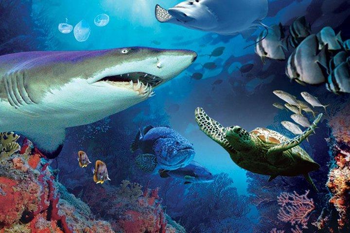 Aquaria KLCC Admission with Kuala Lumpur City Famous Landmarks