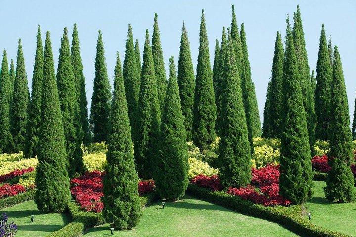 Private Custom Kandy Day Tour from Bentota & Beruwala