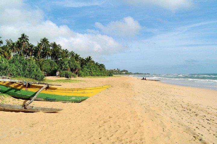 Galle Fort & Bentota Day Trip from Colombo