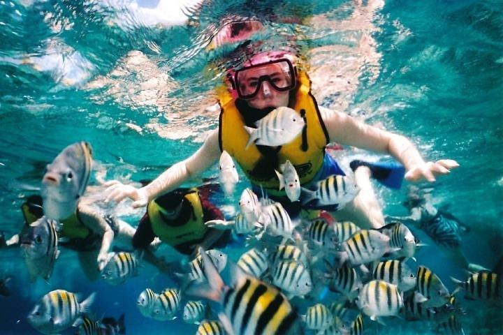 Private Tour: Tioman Island (Sribuat) Reef Snorkel & Summit Hike from Singapore