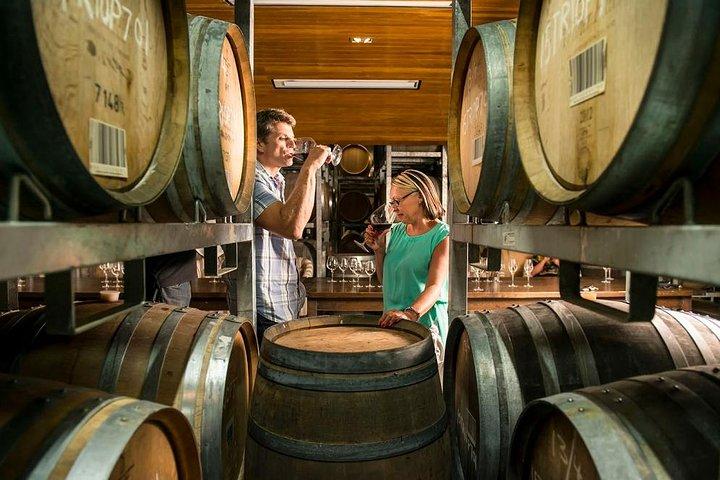 Full-Day Marlborough Wine Tour from Blenheim