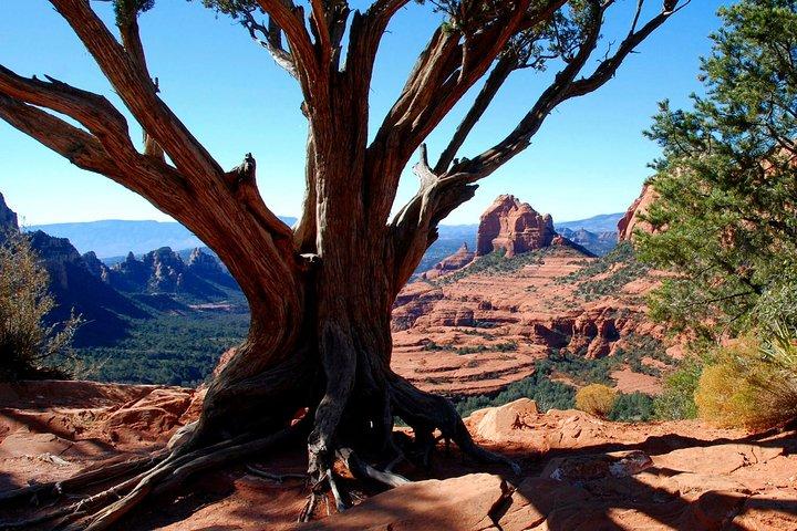 PRIVATE Sedona Jeep Tour 4X4 Climb - Colorado Plateau