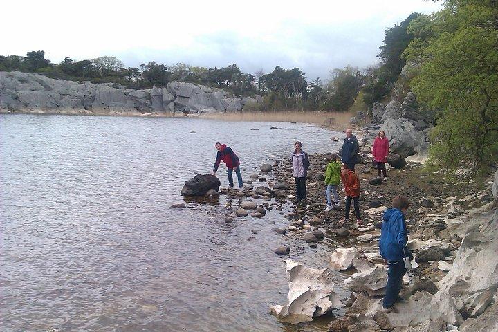 Guided Killarney National Park Walking Tour
